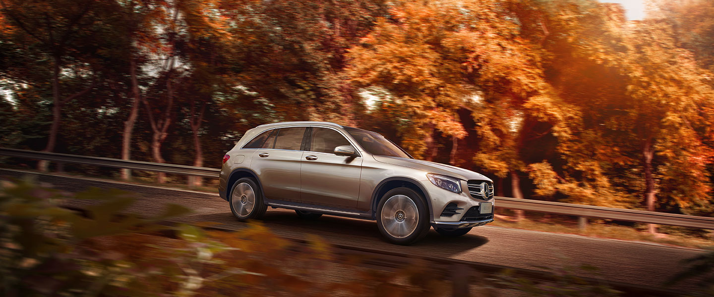 glc1.jpg