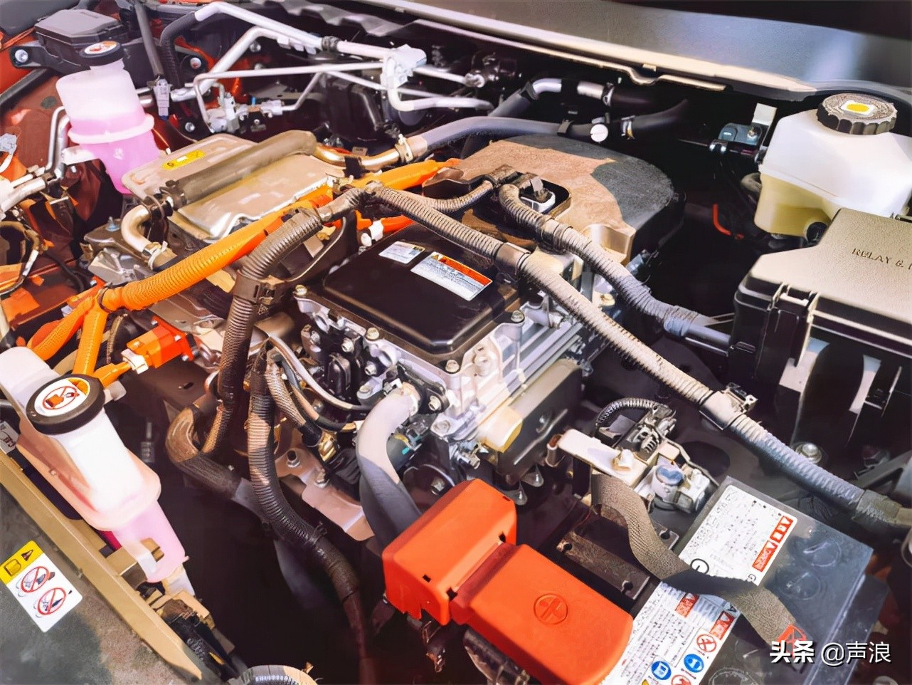 莫放春秋佳日过 试驾雷克萨斯UX300e